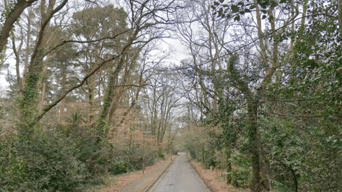 Police Activity in Weybridge Woodland Prompts Safety Response