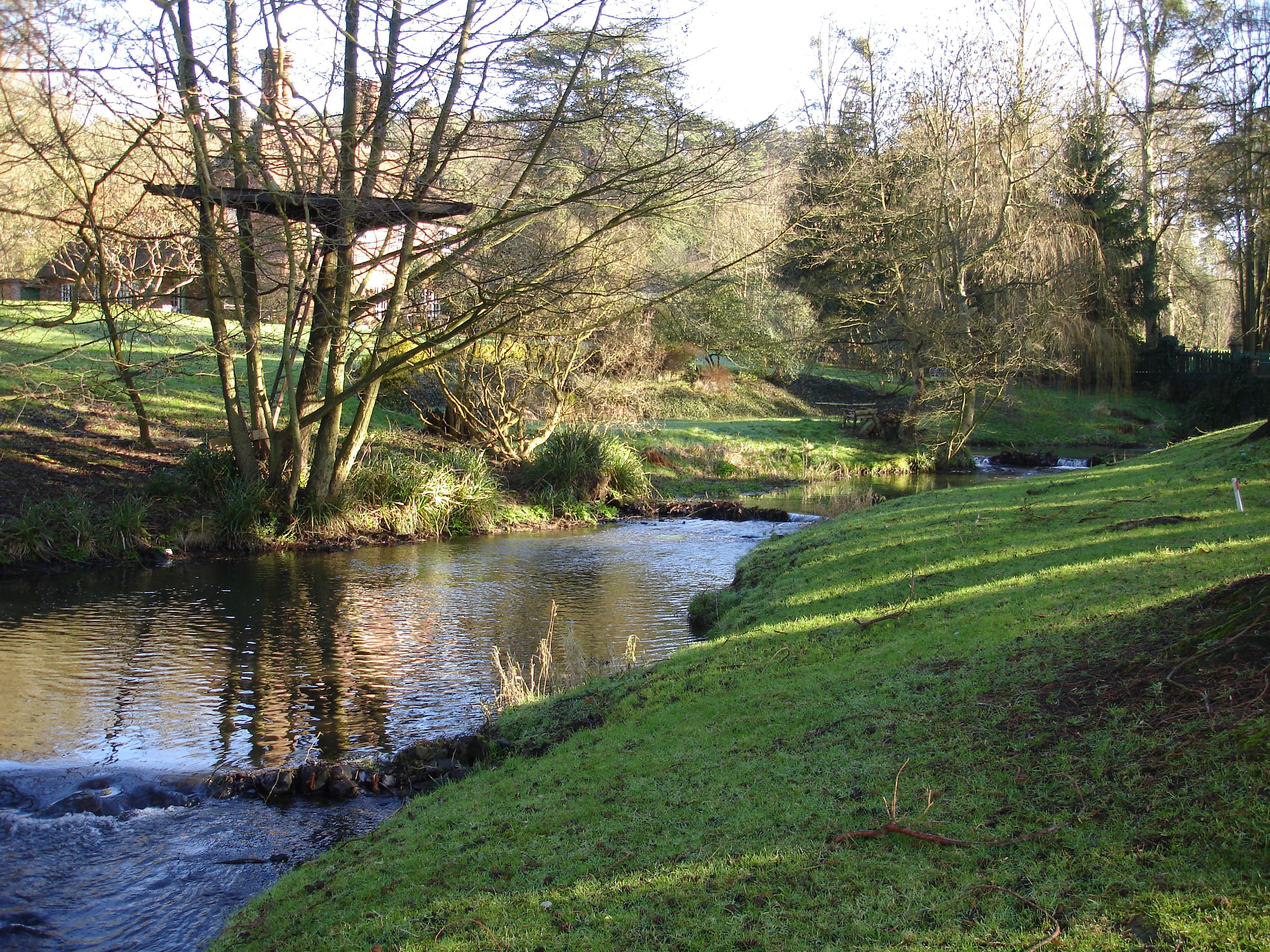 River Bourne Alert: What Surrey's Flood Warning Means for You