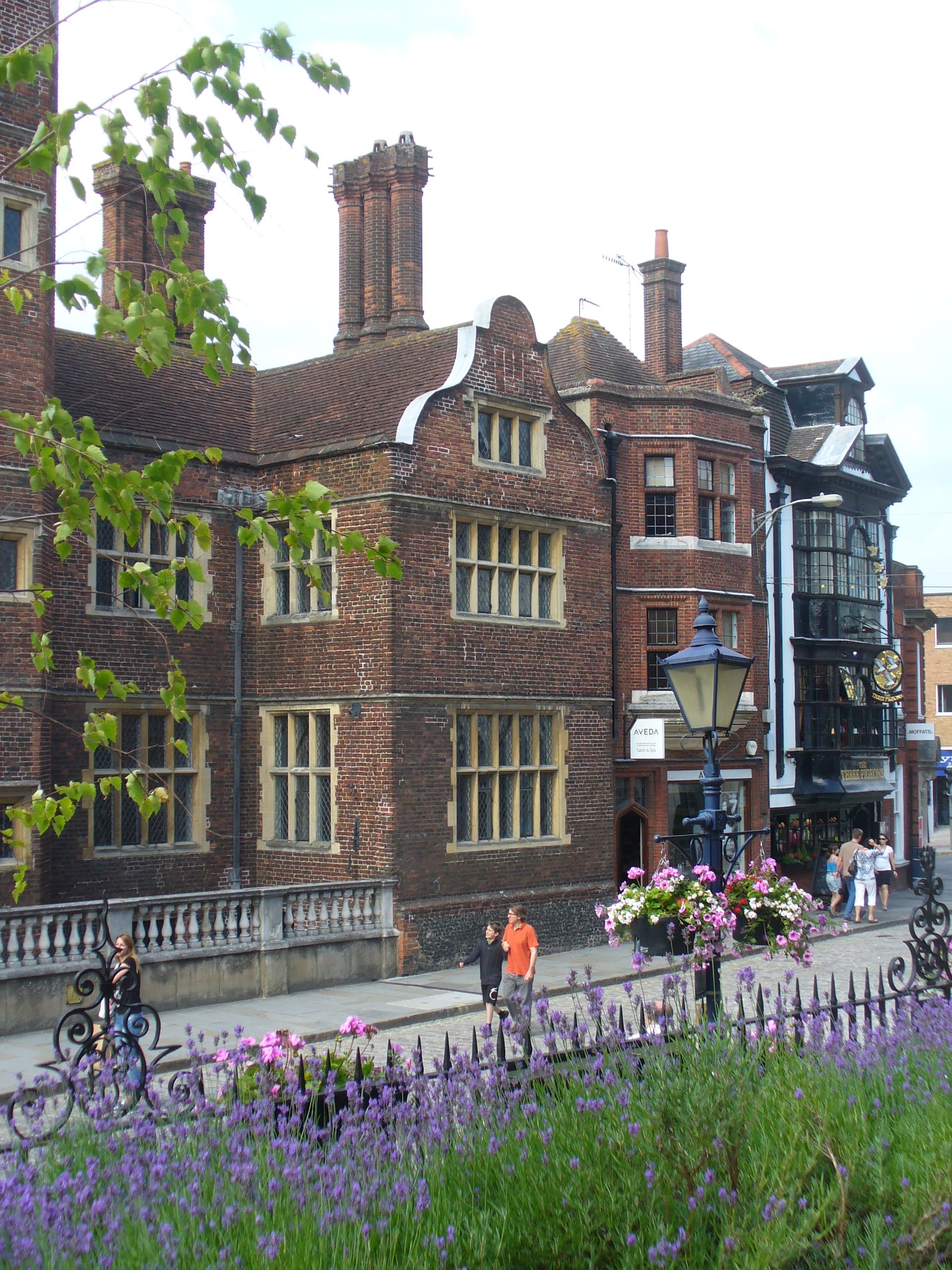 Surrey's Culinary Renaissance: Two Restaurants Join UK's Elite