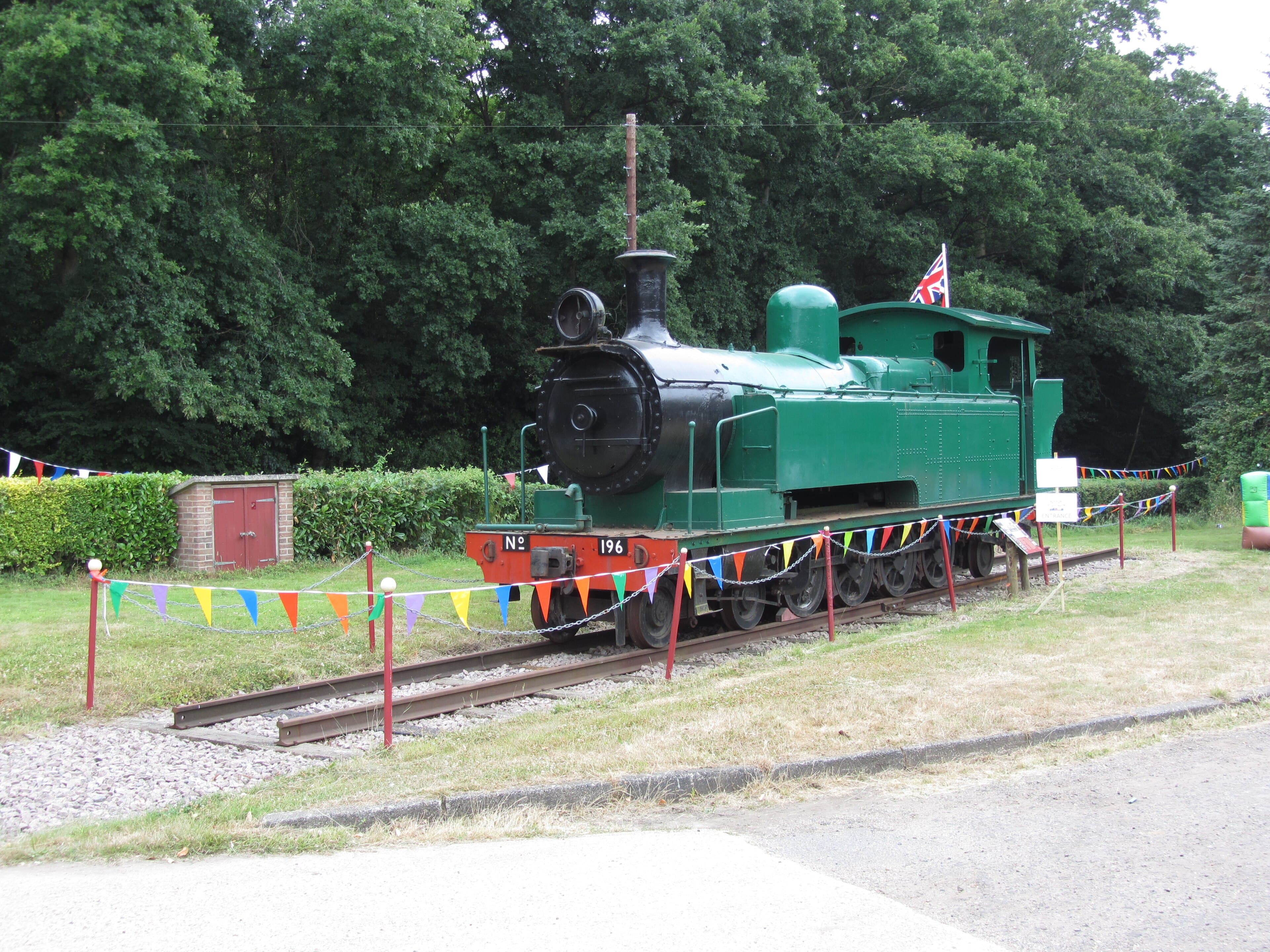 Green and black steam tank locomotive number 196 on display on short track, decorated with bunting before woodland