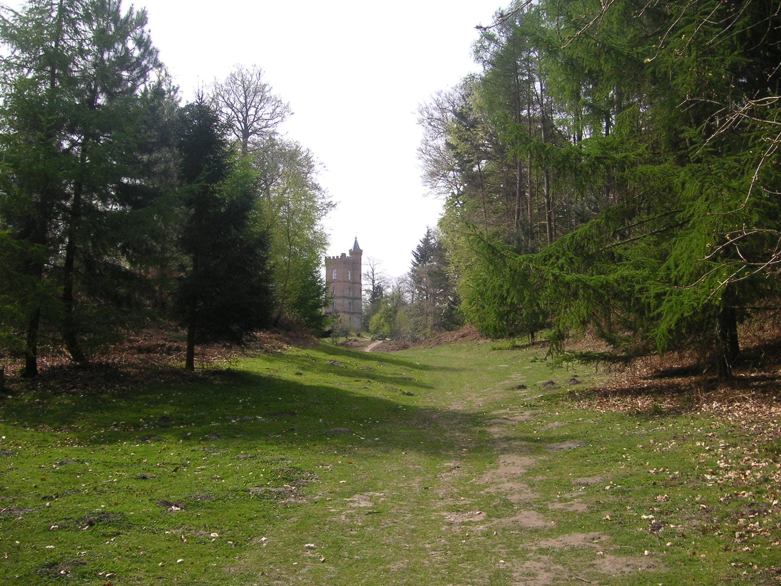 Grassy woodland path between conifers leading to a distant crenellated brick Gothic tower in Painshill Park
