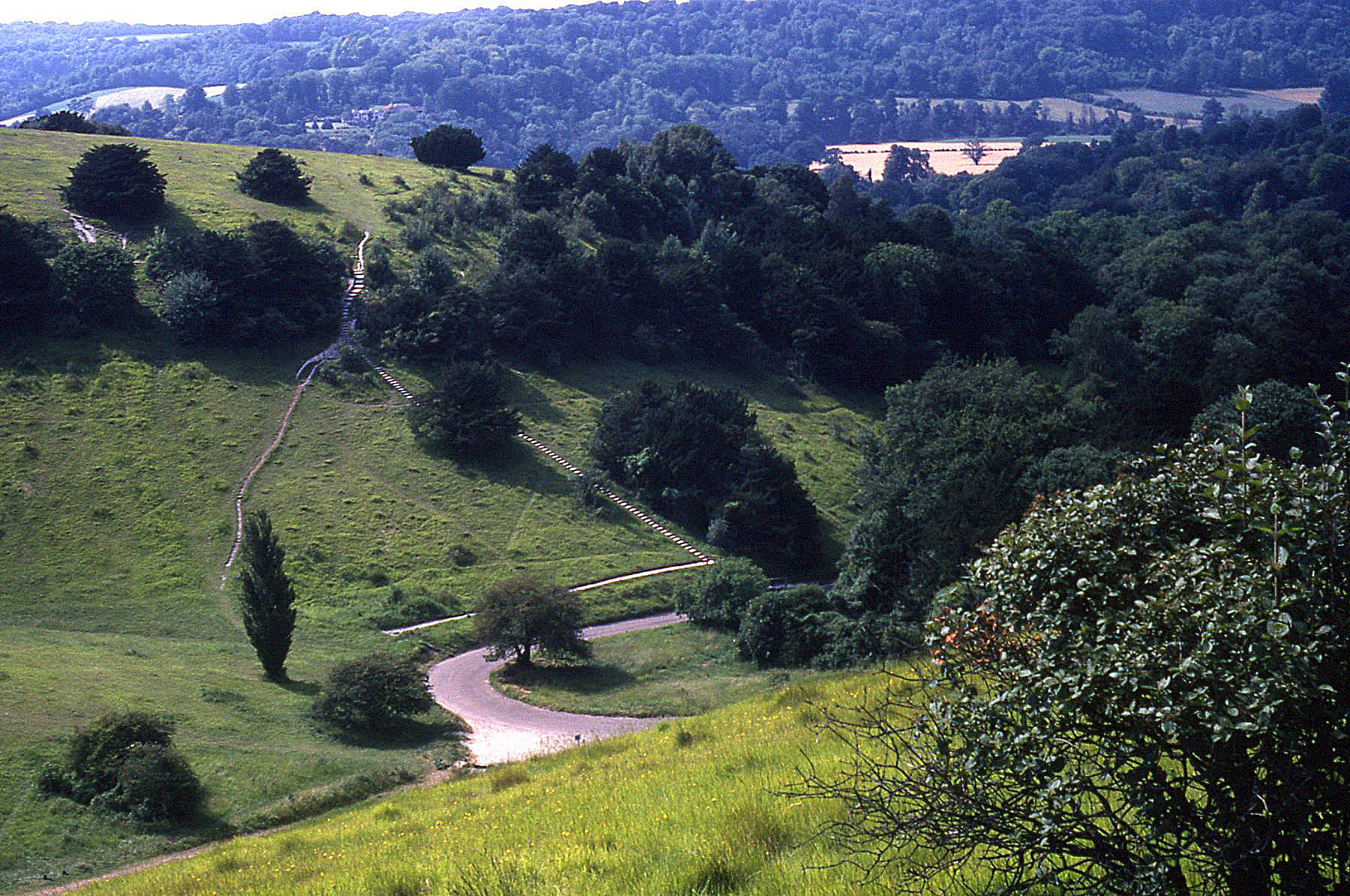 Cycling the Surrey Hills: the Olympic loop, Box Hill and Leith Hill