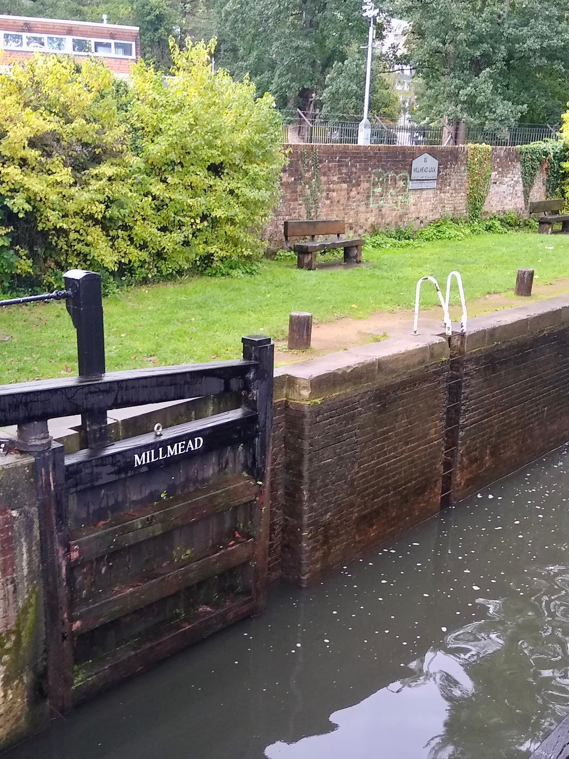 Black timber lock gate marked Millmead beside brick lock wall, grassy bank and benches on the River Wey