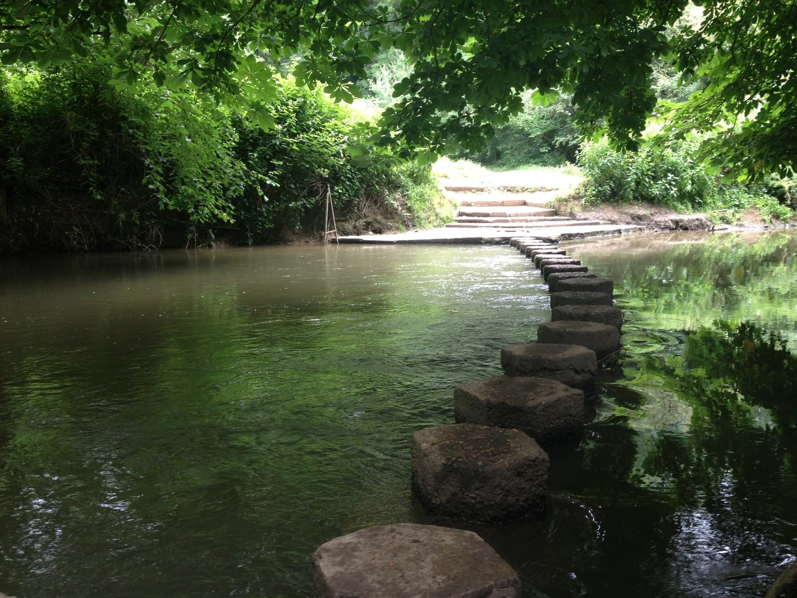 Stepping stones crossing the River Mole beneath overhanging trees, with steps rising to a path on the far bank