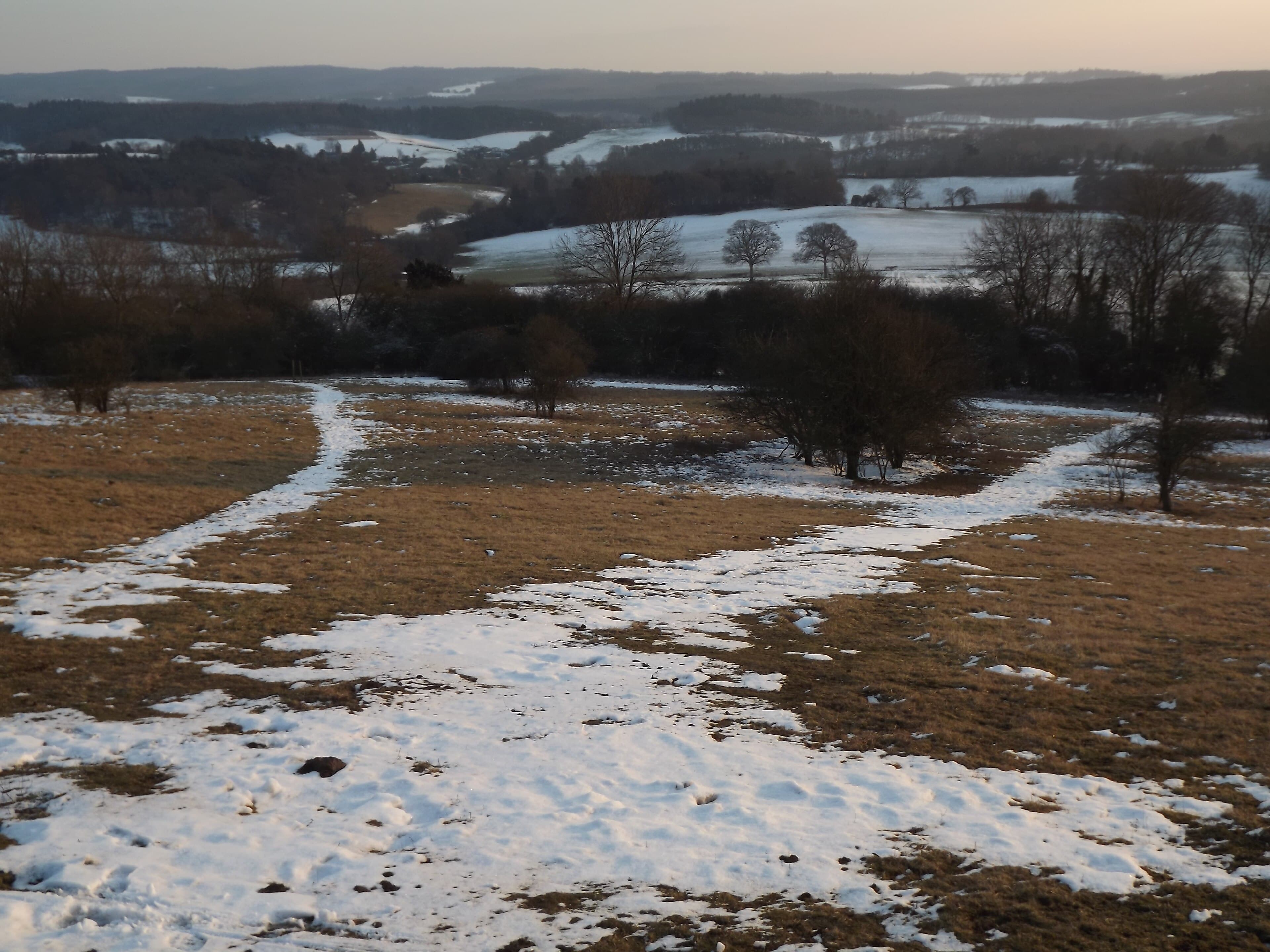 Snow-dusted downland with footpaths in the foreground and wooded, rolling Surrey Hills stretching away under a pale winter sky