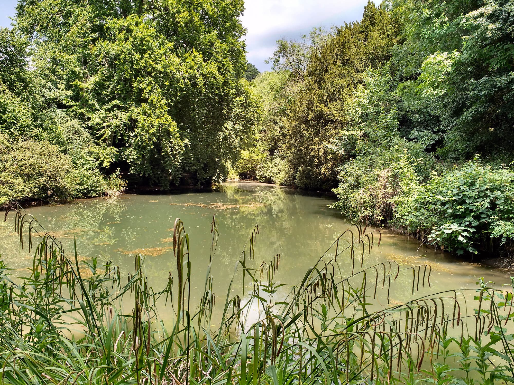 Silent Pool Distillers in Albury: tour, shop and terrace bar