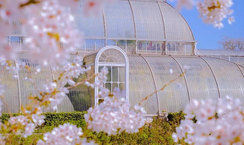 Surrey's Weekend Delights: Your Essential Guide This Weekend